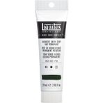 Liquitex : Professional Heavy Body : Akrilik Boya : 59 ml : Hooker’s Green Deep Hue Permanent