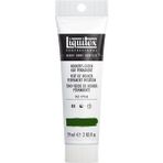 Liquitex : Professional Heavy Body : Akrilik Boya : 59 ml : Hooker’s Green Hue Permanent 224 S1