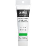 Liquitex Professional Heavy Body Akrilik Boya 59ML Açık Yeşil Kalıcı 312 S2