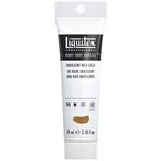 Liquitex Professional Heavy Body akrilik boya, Irisierendes Sattes Gold, Acrylfarbe 59ml Tube