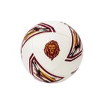Lisinya Galatasaray Futbol Topu Newforce 01 No:5 *25