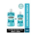 Listerine Cool Mint Nane Aromalı 500 Ml + 250 Ml - Avantajlı Paket