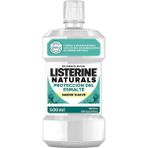 Lısterıne Naturals Emaye Koruma Hafif Lezzet Nane (Alkol Veya Boya Yok, Vegan ) 500ML