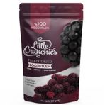 Little Crunchies 20 gr Freeze Dried Dondurularak Kurutulmuş Böğürtlen