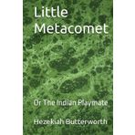 Little Metacomet: Or The Indian Playmate