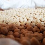 Little Sister's Farm Ata Tohumdan Nohut 1 Kg