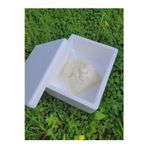 Little Sister's Farm Lor Peyniri 500G