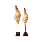 Livava Deniz Kabuğu Polyester Biblo, Beyaz, 45x10