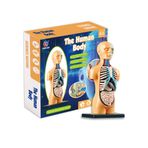 Liveasy 3D Insan Vücudu Anatomisi Modeli Montajlı Oyuncak