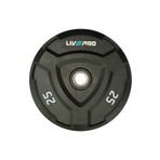 Livepro LP8022 25 kg CPU Bumper Plaka