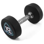 Livepro LP8075 10 kg Poliüretan Stüdyo Dambıl