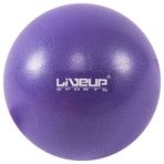 Liveup 20 cm Mini Pilates Topu