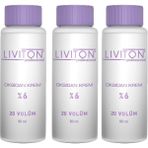 Liviton Professional Ev Tipi Universal Boya Aktive %6 Oksidan Krem 20 Volume 3 Adet
