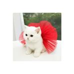 LIWOGY Kırmızı Kedi Tütü Etek / Kedi Kıyafeti / Kedi Elbise Tütü Bağlamalı