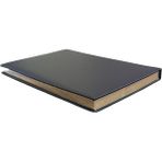 Liz Yaldızlı Suni Deri Telefon Fihristi 12X17 cm - 124 Yaprak