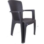 Liza Rattan Koltuk Plastik Sandalye Bahçe Sandalyesi - 8