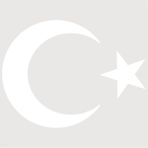 Lizpo Decor Türk Bayrağı, Ay Yıldız Araba Oto Sticker Beyaz 20X15 cm