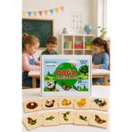 Lizzigames Montessori Eğitici Puzzle DOĞA HARİKALARI, Oluşum kartları 25 ahşap parça, Sıralama, Eşleştirme 1.set
