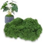 Lnngub Bitkiler İç Mekan için Sahte Yosun, El Sanatları için 5 oz Sahte Yosun, Dekorasyon için Yeşil Yosun, Kendin Yap için Yapay Yosun, Model Yapımı, Ev Dekorasyonu, 150g/Çanta Koyu Yeşil Polyester