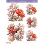 LNT508 Marine Desen, Deniz Kabukları, Mercan Açık Zemin Sulu Transfer 25*35 cm