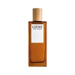 Loewe Pour Homme Edt 100ML