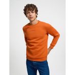 Loft LF2034268 Turuncu Erkek Sweatshirt
