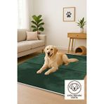 Lofy Halı Tek Renk Zümrüt Yumuşak Dokulu Modern Halı 160x230 Çok Renkli