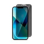 Logis Apple İphone 14 Prıvacy Mat Seramik Ekran Koruyucu
