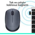 Logitech M170 USB Alıcılı Kablosuz Kompakt Mouse | Ithalatçı Garantili - Renk