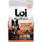 Loi Hipoalerjenik Somonlu Yetişkin Köpek Maması 3 Kg