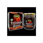 Lokman Ada tribuslumacunn Tribuluslu, Ginsengli Ve Bitkisel Karışımlı Macun 230 Gram