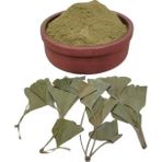 Lokman Aktar 150 gr Gingko Biloba Yaprak Tozu