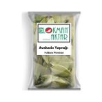 Lokman Aktar Avakado Yaprağı 500 gr - Bitki Çayı