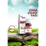 Lokman Efendi Çuha Çiçegi Yağı - A48