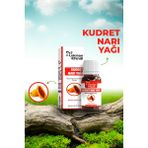 Lokman Efendi Kudret Narı Yağı - A24