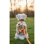 Lokums Peluş Patchwork Boğazlı Köpek Kıyafeti - Köpek Yeleği Çok Renkli M