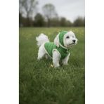 Lokums Yeşil İçi Peluşlu Köpek Yelek ve Şapka Takımı Yeşil 3XL