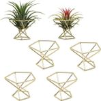 Lolandwiki Geometrik Hava Tesisi Tutucu Airplants Raf Metal Bitkiler Standı Ekici Raflar Himmeli Dekor Tillandsia Konteynerler (Yurt Dışından)