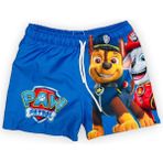 Lolli Boom Kids Erkek Çocuk File Ağ Şort Mayo Bel Bağlamalı Efsane Karakterler Baskılı Yeni Sezon Spider Man - Superman Paw Patrol - 2 - 3 Yaş - 410-Lacivert
