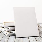 Lona Profesyonel 70x70 cm Tuval
