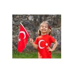 Lona Sanat 10 Adet 20X30 Cm - Kumaş Sopalı Türk Bayrağı