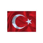 Lona Sanat Vatan 60X90 Cm Türk Bayrağı Fma08115;Diğer