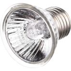 Longbangdian Shop 50W Tarzı Yeni Farınfrared Seramik Pet Isıtma Lambası Kaplumbağa Kertenkele Örümcek Sürüngen Kutusu Isıtıcı Ampuller 20W 50W 75W 100W Ünlü (Yurt Dışından)