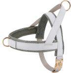 Longbangdian Shop Gri Stil M Beden Kişiselleştirilmiş Köpek Koşum Hiçbir Çekme Köpek Koşumları Ayarlanabilir Pet Yürüyüş Eğitim Yelek Orta Büyük Köpekler Için Bulldog Ücretsiz Gravür (Yurt Dışından) - NO:1 - Renkli