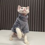 Longbangdian Shop Gri Tarzı S Beden Kış Kedi Giysileri x Sıcak Hoodies Evcil Hayvanlar Kalınlaşmak Ceket Yavru Kedi Kostümleri Ceket Chihuahua Sonbahar Çift Taraflı Artı Kadife (Yurt Dışından) - Renkli