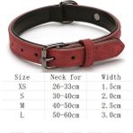 Longbangdian Shop Kırmızı Şarap Tarzı Xs Beden Köpek Tasması Kediler Köpek Şeyleri Malzemeleri Oyulmuş Kimlik Etiketi Isim Plakası Adı Küçük Büyük Köpekler Için Özel Evcil Hayvan Ürünleri Tasmaları (Yurt Dışından) - NO:1 - Renkli