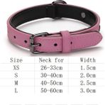 Longbangdian Shop Pembe Tarzı Xl Beden Köpek Tasması Kediler Köpek Şeyleri Malzemeleri Oyulmuş Kimlik Etiketi Isim Plakası Adı Küçük Büyük Köpekler Için Özel Evcil Hayvan Ürünleri Tasmaları (Yurt Dışından) - NO:1 - Renkli