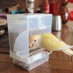 Longbangdian Shop Sıcak Satış Alışveriş Merkezi Boyutu Kuş Kümes Hayvanları Besleyici Otomatik Akrilik Gıda Konteyner Papağan Güvercin Sıçrama Korumalı .5cm (Yurt Dışından) - Color
