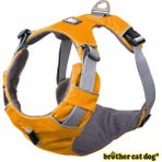 Longbangdian Shop Turuncu 8813 Tarzı Xl Beden Yansıtıcı Pet Köpek Koşum Aksesuarları Köpekler Eğitim Yelek Pet Büyük Köpekler Için Tasma Ayarlanabilir Koşum Hizmeti Köpek Kurşun Yastıklı Halat (Yurt Dışından) - NO:1 - Renkli
