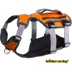 Longbangdian Shop Turuncu 8816 Stili M Beden Yansıtıcı Pet Köpek Koşum Aksesuarları Köpekler Eğitim Yelek Pet Büyük Köpekler Için Tasma Ayarlanabilir Koşum Hizmeti Köpek Kurşun Yastıklı Halat (Yurt Dışından) - NO:1 - Renkli